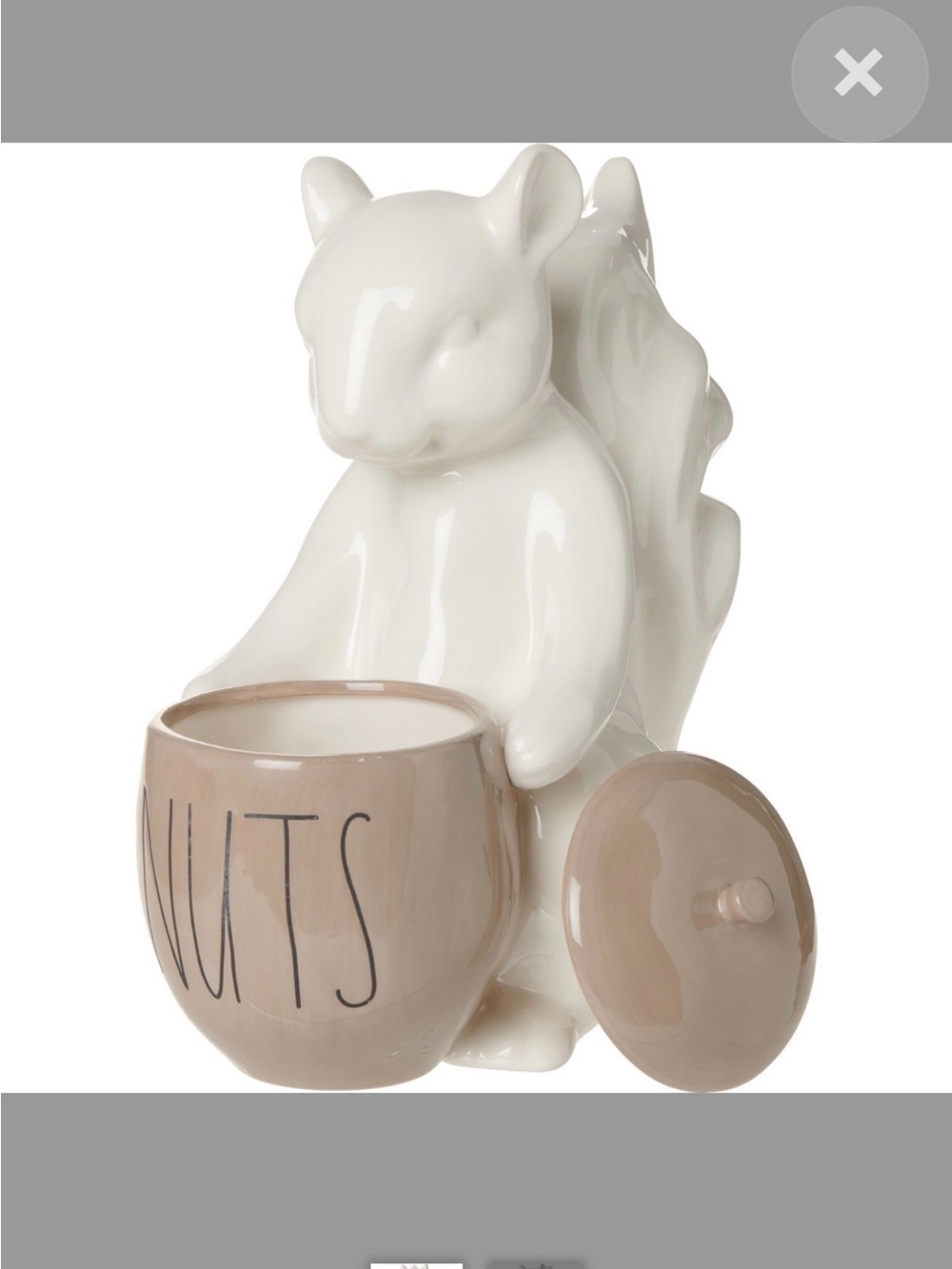 RAE DUNN Squirrel Nut Canister New In Box